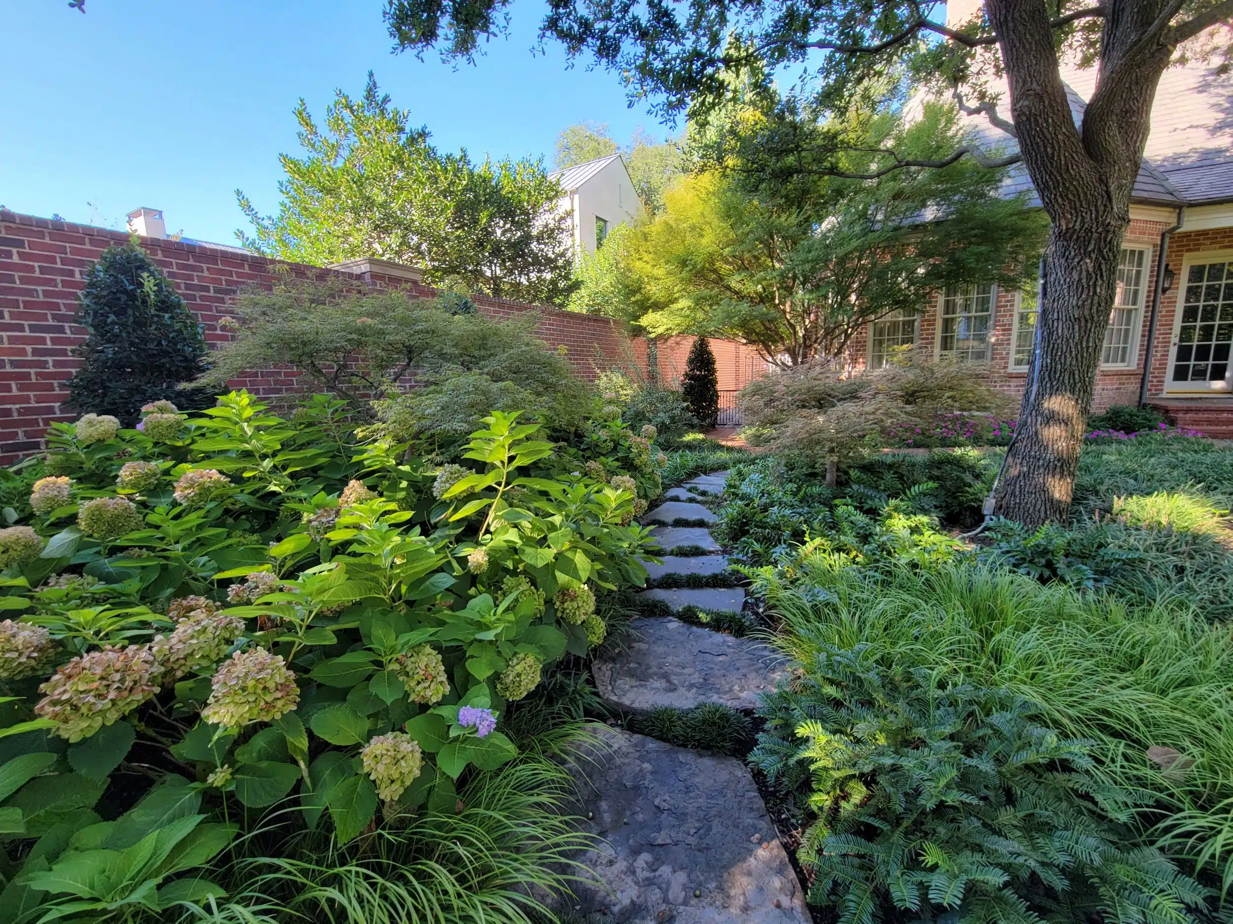 Landscape Design Watauga